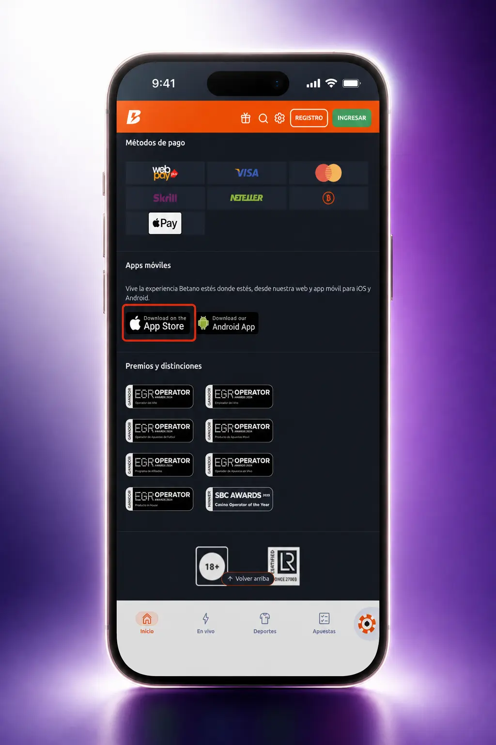 Paso 1: Ingresa a la sección de descarga